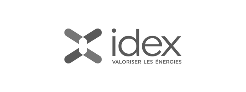 Logo Idex